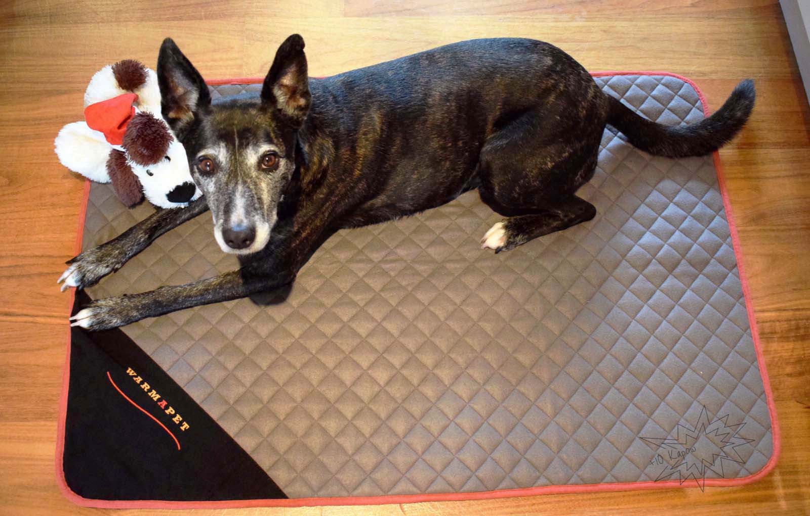 warmapet dog bed